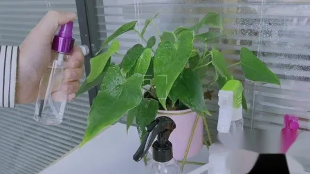 Пружинный внешний распылитель мелкого тумана, пластиковая бутылка, парфюмерный насос, распылительная головка, пластиковые изделия, косметическая упаковка